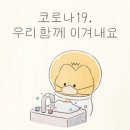 삼성유아태권도 이미지