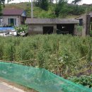 대운산리 이미지