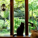 더반스위트 이미지