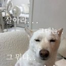 월