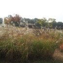 전곡초교 이미지