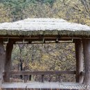 해변의 꿈 이미지