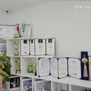 윈애견미용학원