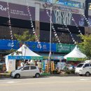 1004청과 이미지