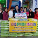 정남진장흥토요시장 이미지