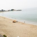 동그라미 펜션 이미지