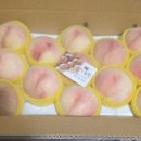 반디농원
