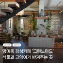 그린노마드 | 부산 망미동 감성카페 추천, 식물과 고양이가 반겨주는 그린노마드 방문 후기