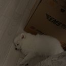 맘처럼 몸이 안따라