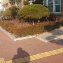 영덕중고등학교 이미지
