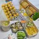 홍차이나 | [`26.03] 우당탕탕 스위치온 다이어트 1주차