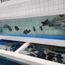 씨유전주신시가지점 이미지