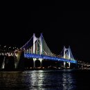 달루체 이미지