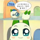 씨유 성수세종점 | 폭우와 편도염의 시작이었던 7월 일상