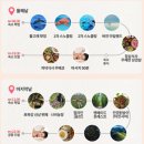 아름다운안경나라 | 보홀 나팔링 반딧불투어 단독으로 가족여행 3박 5일