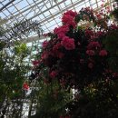 교촌치킨미원점 | [일상] 26년 02월 ① 부지런함