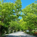 교룡산 둘레길 이미지