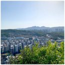 독바위공원 야외무대 이미지