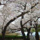 상사초등학교 이미지