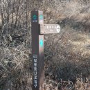 회천생태공원 이미지