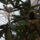 관음의집 이미지