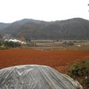 너울농장 이미지