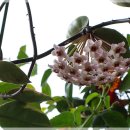 태평양광택 이미지