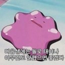 신마트