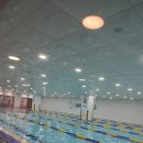 스윔 스타즈 이미지