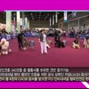 도쿠애견미용학원 - 성동구 무학로2길 50 | 도쿠애견미용학원