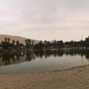 올리브 호스텔 이미지