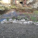 거기치킨 이미지