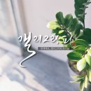 [1/6] 캘리그라피 취미반 이미지