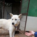 용순농장 이미지