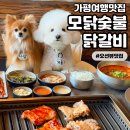그남자의닭갈비원평점 | [모닭숯불닭갈비] 가평여행맛집 애견동반 가능한 분위기 좋은 식당