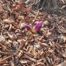 규피부과의원 이미지