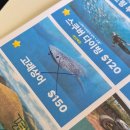 피노이레스토랑 | 피노이와 함께 떠나는 3박 5일 보홀 신혼여행 🍕 - 2. 먹고 자고 수영했더니 끝난 하루 / 바안스파...