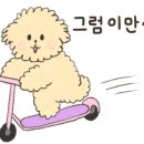 장터추어탕캠핑장 이미지