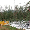 교선농장 이미지