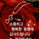 행복양말 이미지