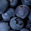 조현덕농장 이미지