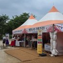 가평 자라섬 꽃축제 애견동반 꽃놀이 후기(+한복 대여)