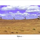 언덕위에 풍차 이미지