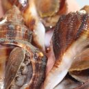 스토어소라 이미지