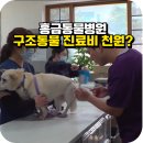 홍금동물병원 | 동물농장 나온 분당 홍금동물병원, 천원짜리 수의사 실화?