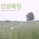 유연목장 이미지