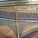 선원상회 이미지