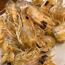 도마차로R 이미지