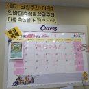 커브스 신곡클럽 이미지