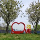 옥포로(아주동) 이미지